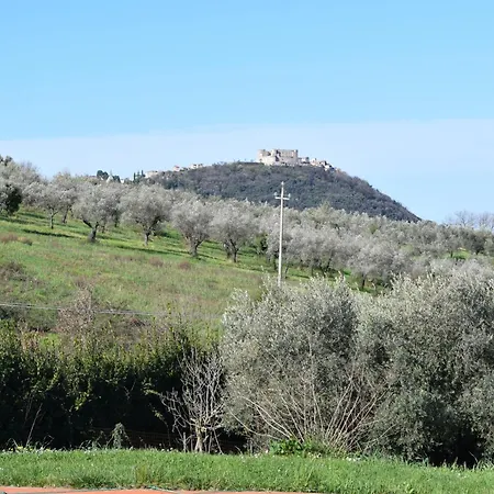 Bed & Breakfast La Cesa Country 3*