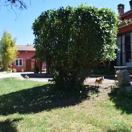 La Cesa Country Bed & Breakfast Scandriglia